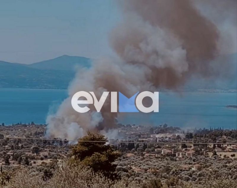 Έτσι ανακάλυψαν την μεγάλη φωτιά στην Εύβοια